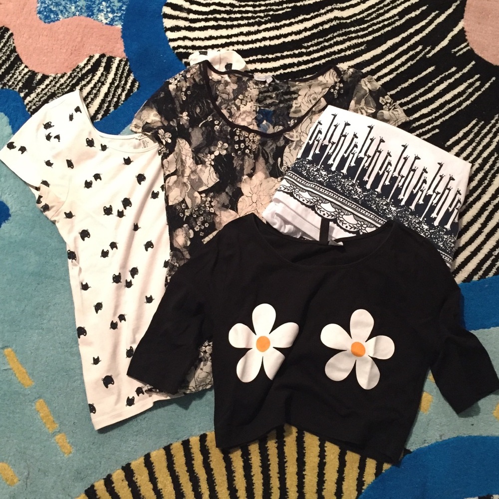 H&M Daisy Crop Top cat Peplum Lace top